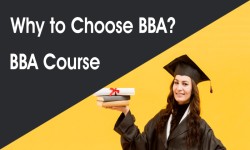 Why is the BBA course preferred for students who want to learn Business Administration?